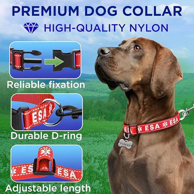 TECEUM Reflective Pet Collar – Red - ESA – M – Basic Nylon Dog Collar – Quick Release Buckle – Fits Small, Medium and Large Dogs, Puppies, Cats – ESA & Service Dog Options TECEUM