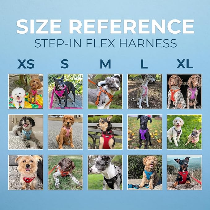 Best Pet Supplies Voyager Adjustable Dog Vest Harness Breathable No Pull Harness for Small, Medium, Large Dogs, Harness for Walking, Jogging, Easy Step-in, Reflective Stripes - (Royal Blue), L BestPetSuppliesLLC