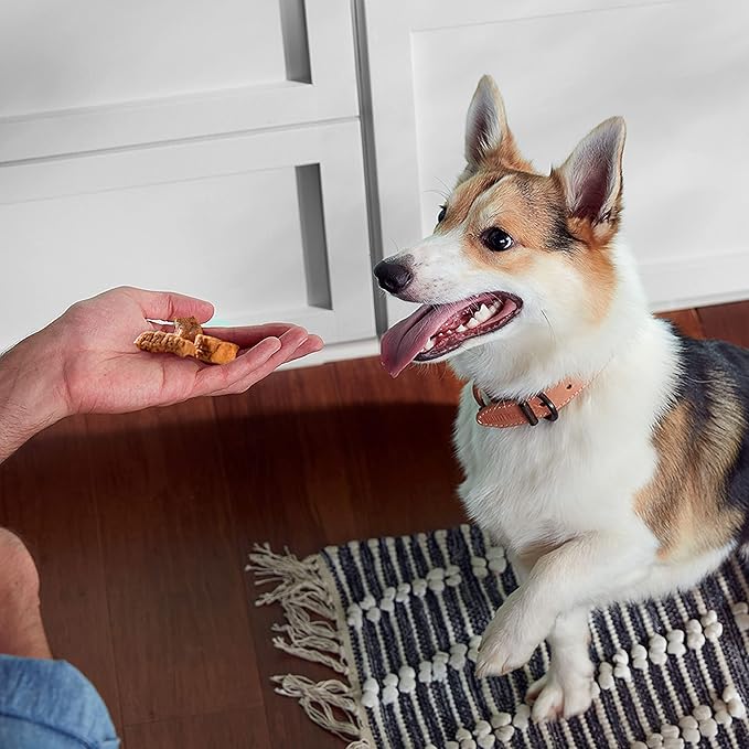 Rachael Ray Nutrish Savory Roasters Real Meat Dog Treats, Roasted Chicken Recipe, 30 Ounce (Pack of 1) - PAWPICO