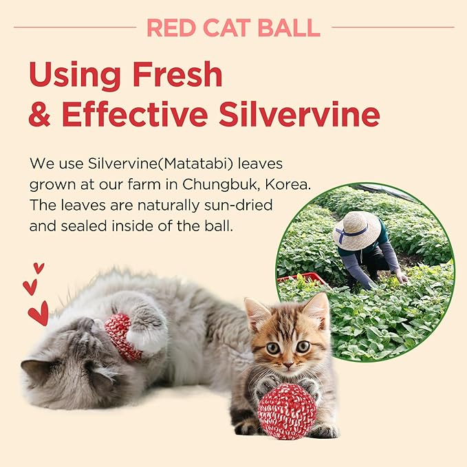JAYU PET Red Cat Ball - Catnip Inside Cat Toy, Handmade Silvervine Ball Toys, Cat Toys for Indoor Cats, Interactive Matatabi Cat Ball Toy, Feline Kitten Toys, Cat Gifts (2.7 inch) - PAWPICO