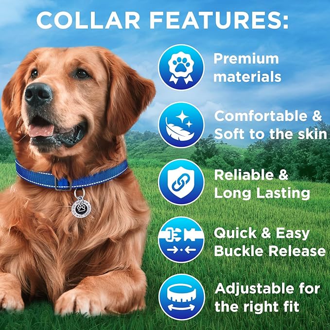 TECEUM Reflective Pet Collar – Navy Blue – XXS – Basic Nylon Dog Collar – Quick Release Buckle – Fits Small, Medium and Large Dogs, Puppies, Cats – ESA & Service Dog Options TECEUM