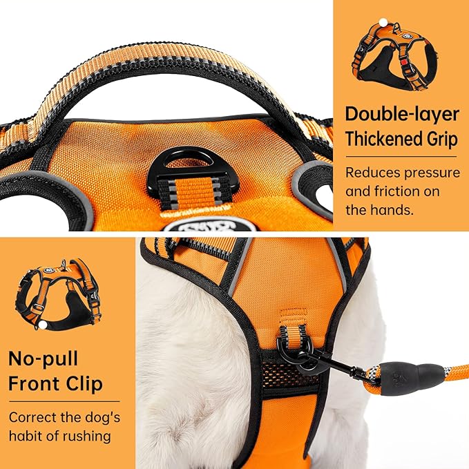 IVY&LANE No Pull Dog Harness for Small Dogs, Vest Harness with Leash, Safety Belt and Storage Strap, Fully Adjustable, 360° Reflective Strip, Soft Handle (Orange, S) IVYLANE
