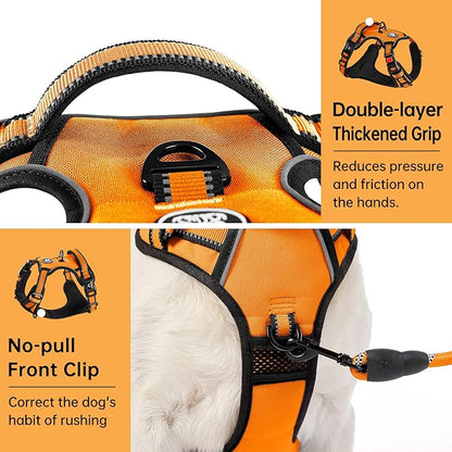 IVY&LANE No Pull Dog Harness for Large Dogs, Dog Vest Harness with Leash, Safety Belt and Storage Strap, Fully Adjustable Harness, 360° Reflective Strip, Soft Handle (Orange,X-Large) IVYLANE
