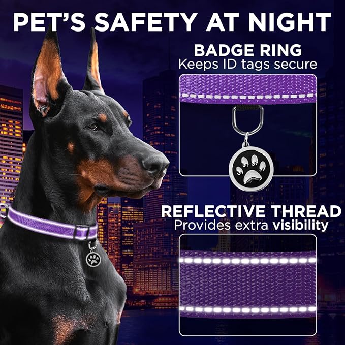 TECEUM Reflective Pet Collar – Purple – XL – Basic Nylon Dog Collar – Quick Release Buckle – Fits Small, Medium and Large Dogs, Puppies, Cats – ESA & Service Dog Options TECEUM