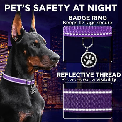TECEUM Reflective Pet Collar – Purple – XL – Basic Nylon Dog Collar – Quick Release Buckle – Fits Small, Medium and Large Dogs, Puppies, Cats – ESA & Service Dog Options TECEUM