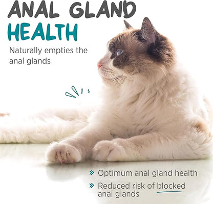 maxxiscoot Anal Gland & Digestive Health Support for Cats - Powder Supplement, 3.2oz maxxipaws