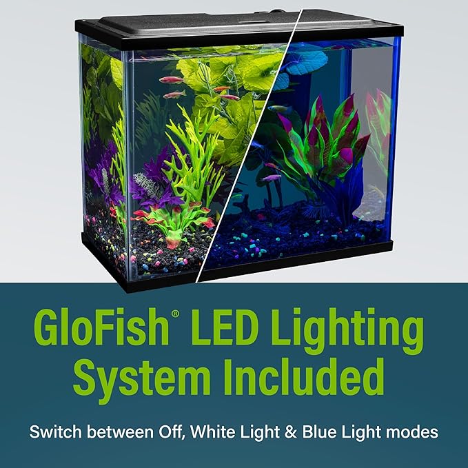 GloFish Aquarium Starter Kit, 6.6 Gallon Fish Tank, Includes Blue & White LED Lights, Tetra Whisper Bio-Bag Filter & Thermometer GloFish