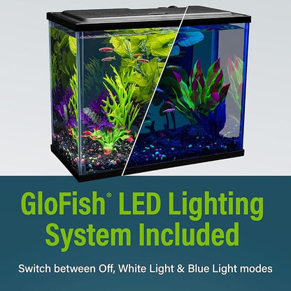 GloFish Aquarium Starter Kit, 6.6 Gallon Fish Tank, Includes Blue & White LED Lights, Tetra Whisper Bio-Bag Filter & Thermometer GloFish