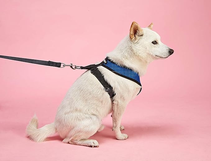 Gooby Comfort X Head In Harness - Green, Large - No Pull Small Dog Harness, Patented Choke-Free X Frame - Perfect on the Go Dog Harness for Medium Dogs No Pull or Small Dogs for Indoor and Outdoor Use Gooby