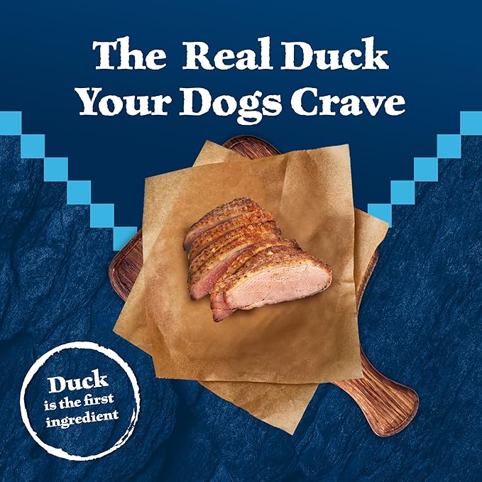 Blue Buffalo Wilderness Natural High-Protein Dry Food for Adult Dogs, with Wholesome Grains, Duck, 13-lb bag. - PAWPICO