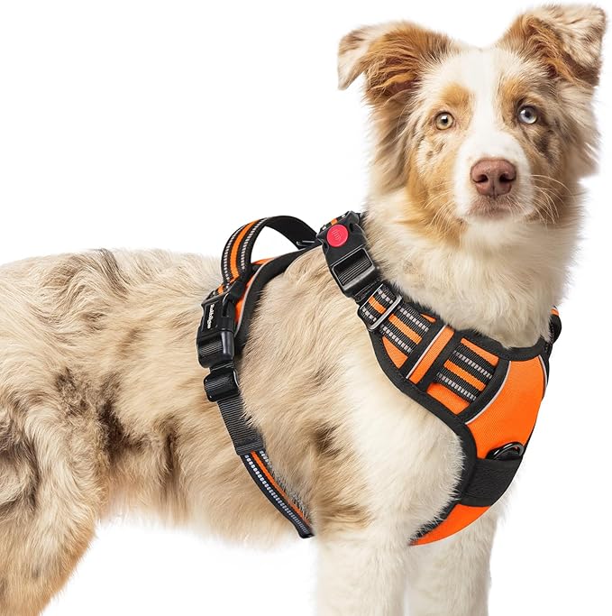 rabbitgoo Dog Harness Medium Sized, No Pull Pet Harness with 3 Buckles, Adjustable Soft Padded Pooch Vest with Instant Control Handle, Easy Walking Reflective Pet Vest for Medium Dogs, Orange, M rabbitgoo