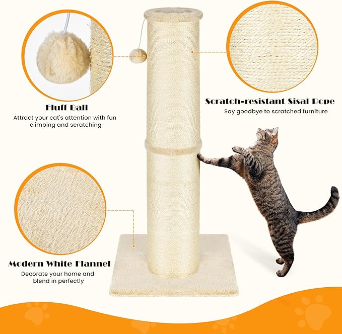 PAWSCRAT Cat Scratching Post 32 Inch High, 5.5 Inch Large Diameter Natural Sisal Cat Scratch Post, Scratch-Resistant and Durable Tall Cat Scratcher for Indoor Cats, Protect Your Furniture, Beige - PAWPICO