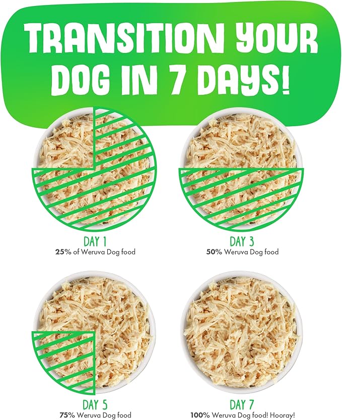 Weruva Classic Dog Food, That's My Jam! with Chicken & Lamb in Gelée, 14oz Can (Pack of 12), Green - PAWPICO