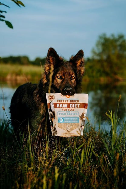 Complete & Balanced Freeze Dried Raw Diet for Dogs, Fish Recipe, 12 oz Bag BossDogBrand