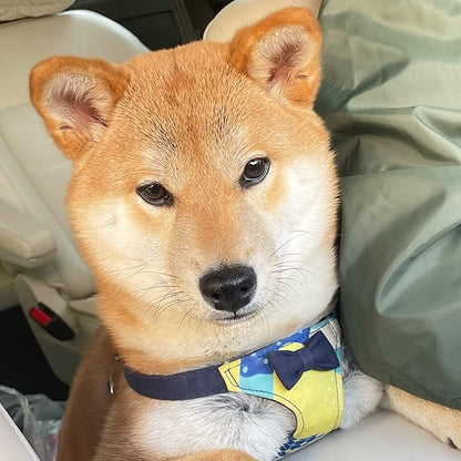 Puppytie No Pull Small Dog Harness with Multifunction Dog Leash,Lightweight Soft Adjustable No Choke Escape Proof Pet Harness Vest Pet Harness Vest,Suede Bow Navy,S Puppytie