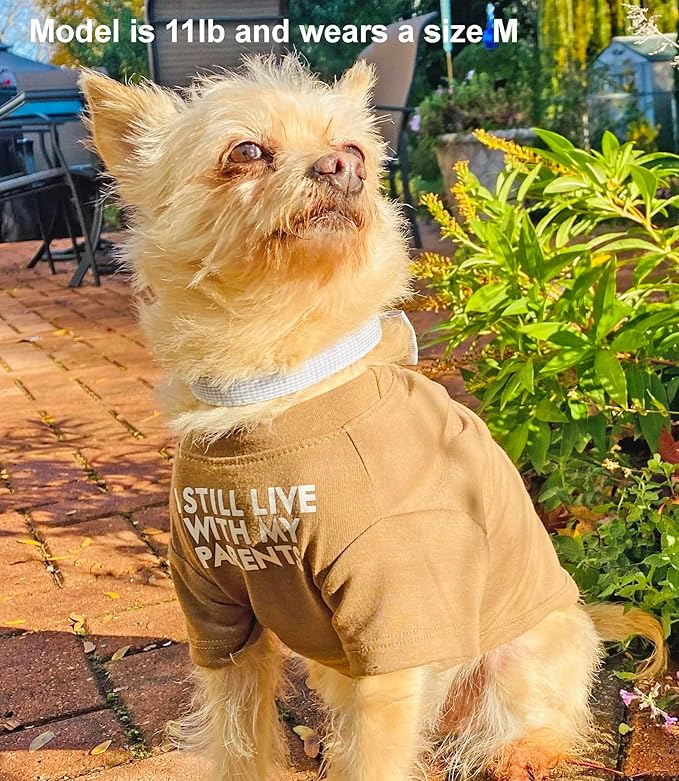 Cute Dog Clothes,Dog T Shirt for Medium Dogs.Dog Clothes for Small Dogs Girl Boy,Puppy.Breathable Soft Dog Costume Pet Dogs Cats,Pet Pullover Jumper,Cat Clothes (S-(4~8lb), Chest~14", Khaki) - PAWPICO