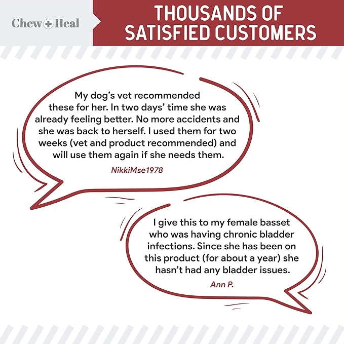 Chew + Heal UTI Treatment Cranberry Chews for Dogs - 240 Soft Chews - Supports Healthy Urinary Tract and Bladder Function - Corrects Imbalances - with Echinacea and Vitamin C ChewHeal