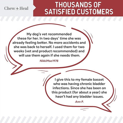 Chew + Heal UTI Treatment Cranberry Chews for Dogs - 240 Soft Chews - Supports Healthy Urinary Tract and Bladder Function - Corrects Imbalances - with Echinacea and Vitamin C ChewHeal