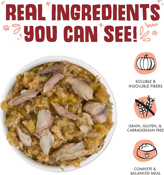 Weruva Classic Dog Food, Marbella Paella with Mackerel & Pumpkin in Aspic, 5.5Oz Can (Pack of 24) - PAWPICO