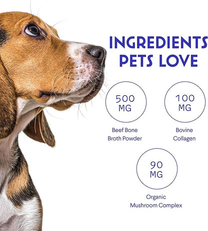 Bone Broth for Dogs – Bone Broth Powder with Organic Mushrooms & Collagen for Digestion, Immunity & Joint Support – Tasty Beef Supplement for Dogs of All Ages, Sizes & Breeds – 3.20 oz WonderPaws