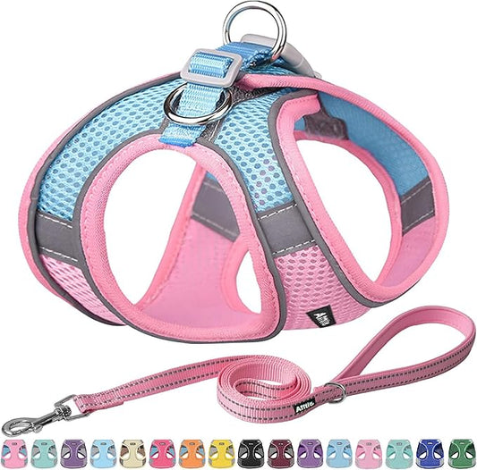 AIITLE Small Harness for Puppy with A Leash - Spring Dog Vest Harness with Super Breathable Mesh, Reflective No-Pull Pet Harness for Outdoor Walking, Camping for Small Dogs, Cats Pink XXS AIITLE-FORPETSBETTERLIFE