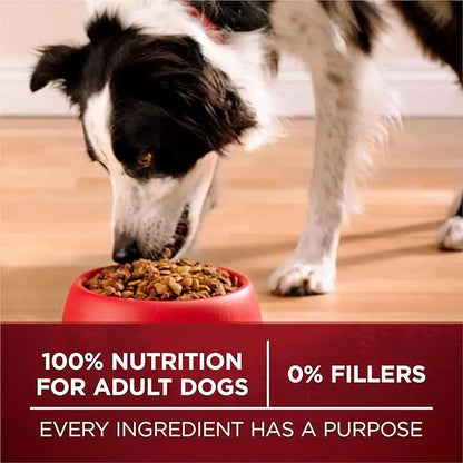 Purina ONE Natural High Protein Dry Dog Food Dry True Instinct with Real Beef and Salmon With Bone Broth and Added Vitamins, Minerals and Nutrients - (Pack of 4) 3.8 lb. Bags - PAWPICO