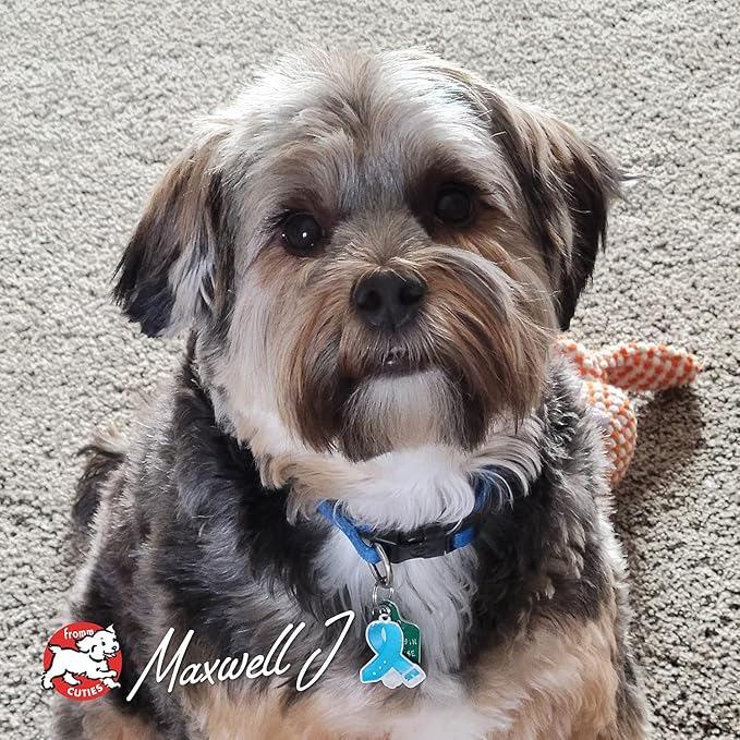 Fromm Four-Star Nutritionals Surf & Turf Dog Food - Premium Dry Dog Food - Salmon Recipe - 26 lb - PAWPICO