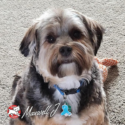 Fromm Four Star Surf and Turf Dog Food, 4-Pound Bag - PAWPICO