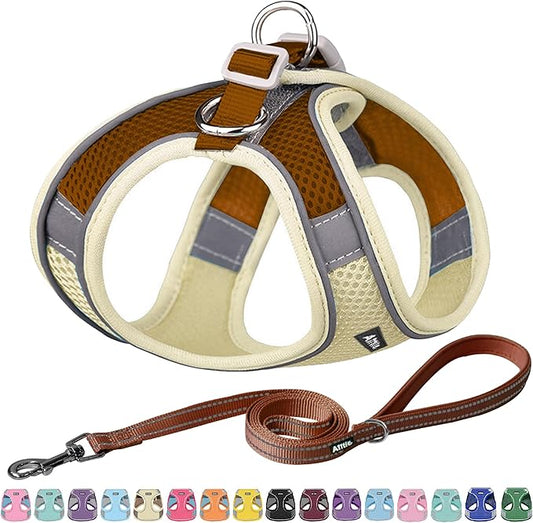AIITLE Comfortable Dog Harness and Leash Set for Walking - Spring Step in Vest Harness,Reflective Bands, Adjustable No Pull Puppy Essentials, for Small Dogs and House Cats Beige XS AIITLE-FORPETSBETTERLIFE
