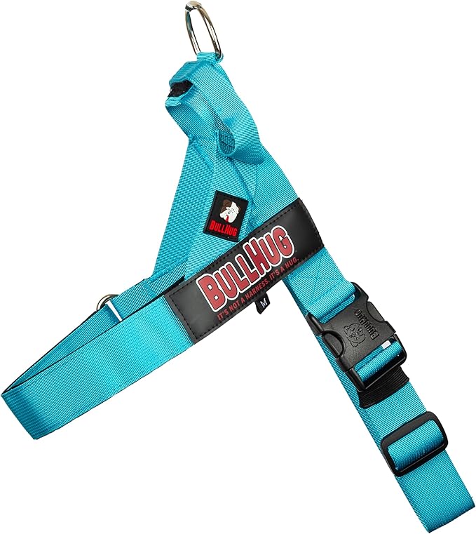 BULLHUG Harness – Made for Larger Chested Dogs Like English Bulldogs, French Bulldogs, Pugs & More. Stops Dogs from Pulling & Choking on Walks (Teal, Medium) BULLHUG