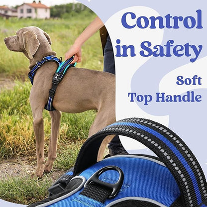 rabbitgoo Dog Harness for Large, No Pull Pet Harness with 3 Buckles, Adjustable Soft Padded Pooch Vest with Instant Control Handle, Easy Walking Reflective Pet Vest for Large Dogs, Blue, L rabbitgoo