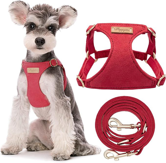 Puppytie No Pull Small Dog Harness with Multifunction Dog Leash,Lightweight Soft Adjustable No Choke Escape Proof Pet Harness Vest Pet Harness Vest,red-Camellia,S Puppytie