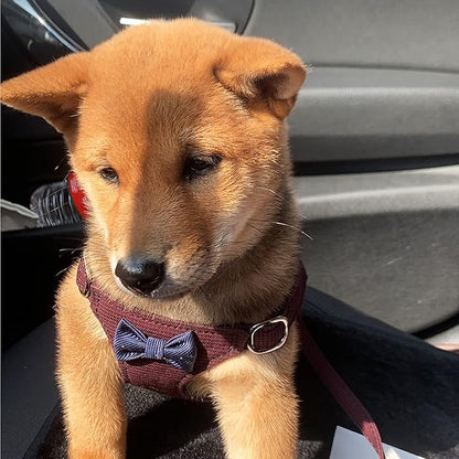 Puppytie No Pull Small Dog Harness with Multifunction Dog Leash,Lightweight Soft Adjustable No Choke Escape Proof Pet Harness Vest Pet Harness Vest,Plaid deep red,S Puppytie