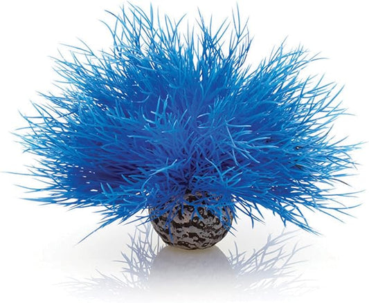 Sea Lily Blue biOrb