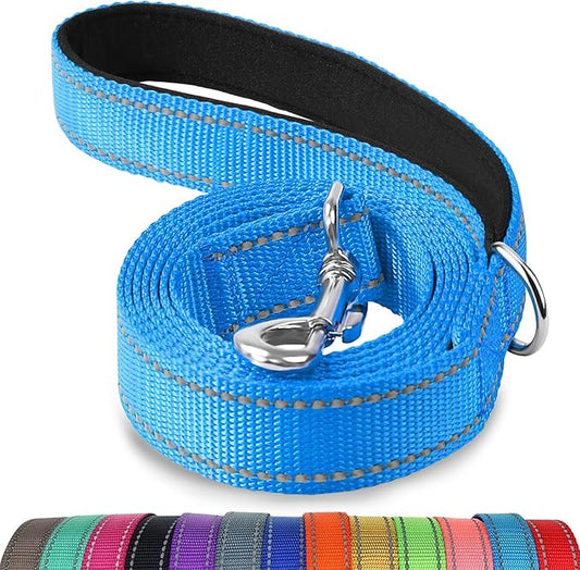 Joytale Double-Sided Reflective Dog Leash, 6 FT/5 FT/4 FT, Padded Handle Nylon Heavy Duty Leashes for Small & Medium Dogs Walking, Sky Blue, 5FT Joytale