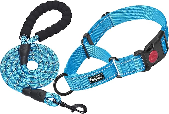 haapaw 2 Packs Martingale Dog Collar with Quick Release Buckle Reflective Dog Training Collars for Small Medium Large Dogs haapaw