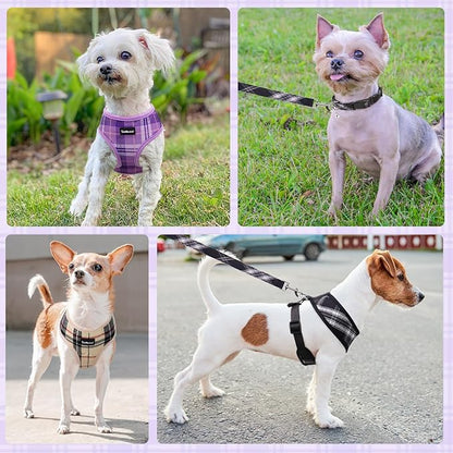 SCENEREAL No Pull Dog Harness Collar and Leash Set Small Medium Sized Dog, Soft Mesh Step in Puppy Harnesses, No Chock Plaid Adjustible Pet Vest for Outdoor Walking Training and Running, Purple XS SCENEREAL