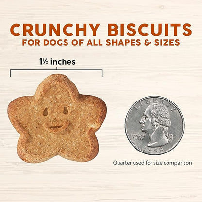 Cloud Star Wag More Bark Less - Dog Treats - Crunchy Biscuits - Grain Free Peanut Butter & Apples - 2.5 lb Pouch - PAWPICO