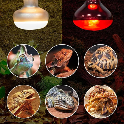 REPTI ZOO 2 Pack 100W Reptile Heat Lamp Bulbs,Upgraded Reptile Day and Night Basking Spot Bulb Combo Amphibian Infrared Heat Lamp Bulb/UVA Basking Spot Daylight Heating Light Bulb REPTIZOO