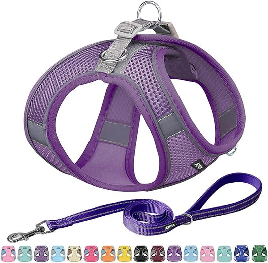 AIITLE Comfortable Dog Harness and Leash Set for Walking - Spring Step in Vest Harness,Reflective Bands, Adjustable No Pull Puppy Essentials, for Small Dogs and House Cats Pure Purple XS AIITLE-FORPETSBETTERLIFE
