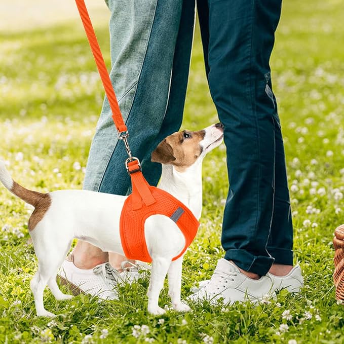 PUPTECK Adjustable Dog Harness Collar and Leash Set Step in No Pull Pet Harness for Small Medium Dogs Puppy and Cats Outdoor Walking Running, Soft Mesh Padded Reflective Vest Harnesses PUPTECK