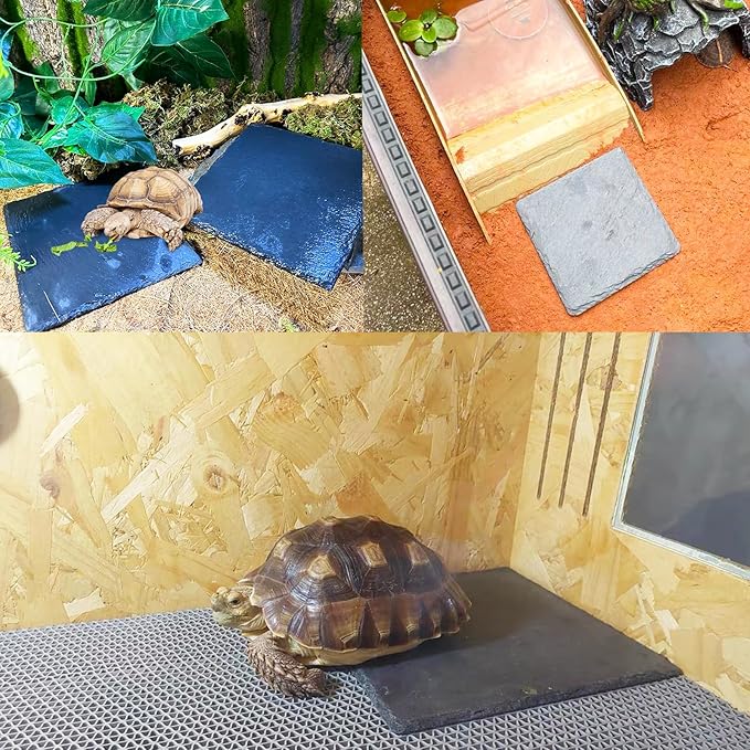 Reptile Basking Platform 2Pcs 6.0''x6.0'' Turtle Rock Plate Slate Feeding Platform Food Dish Bowl Bathing Rock Rest Terrace for Chameleon Lizard Bearded Dragon Gecko Snake Frog Newt (6.0''/15CM) Tfwadmx