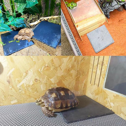 Reptile Basking Platform 2Pcs 6.0''x6.0'' Turtle Rock Plate Slate Feeding Platform Food Dish Bowl Bathing Rock Rest Terrace for Chameleon Lizard Bearded Dragon Gecko Snake Frog Newt (6.0''/15CM) Tfwadmx