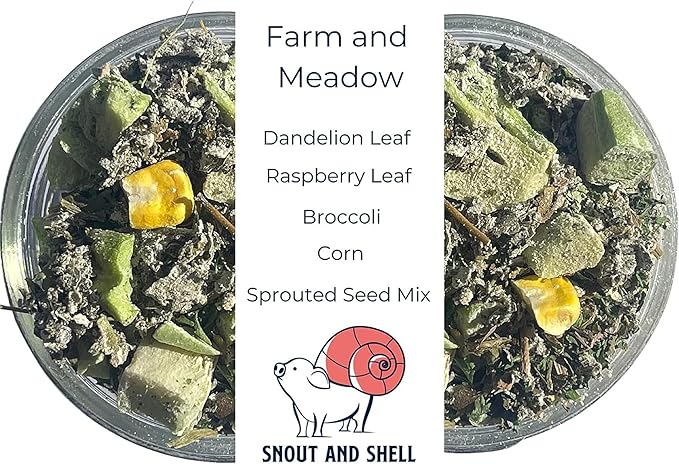 Snout and Shell Farm and Meadow Hermit Crab Food - Green Blend Diet of Dandelion Leaf, Cilantro, Raspberry Leaf, Broccoli, Corn - Eco Animal Pet Snack Treat for Protein & Nutrients | 39g SNOUTANDSHELL