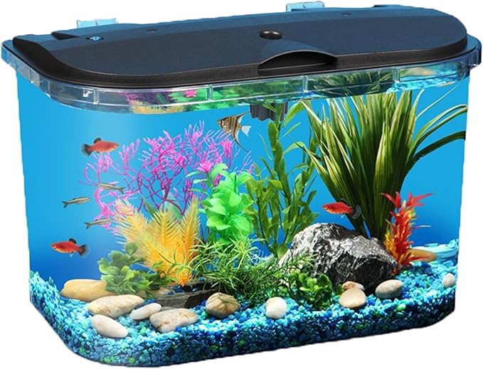 Koller Products 5-Gallon Aquarium Kit with LED Lighting and Power Filter, Ideal for a Variety of Tropical Fish DISCOVERTHEEXCITINGWORLDOFKEEPINGTROPICALFISH