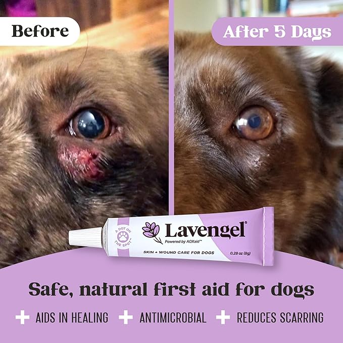 for Dogs - Reduces Skin Irritations and Itching - Effective Wound Care and Hot Spot Treatment Lavengel