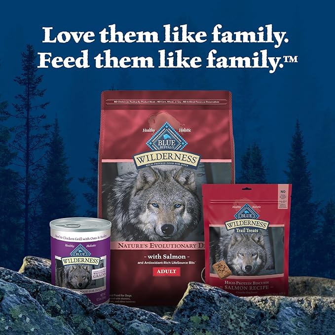 Blue Buffalo Wilderness Adult High-Protein Dry Dog Food Natural Salmon WITH WHOLESOME GRAINS - PAWPICO