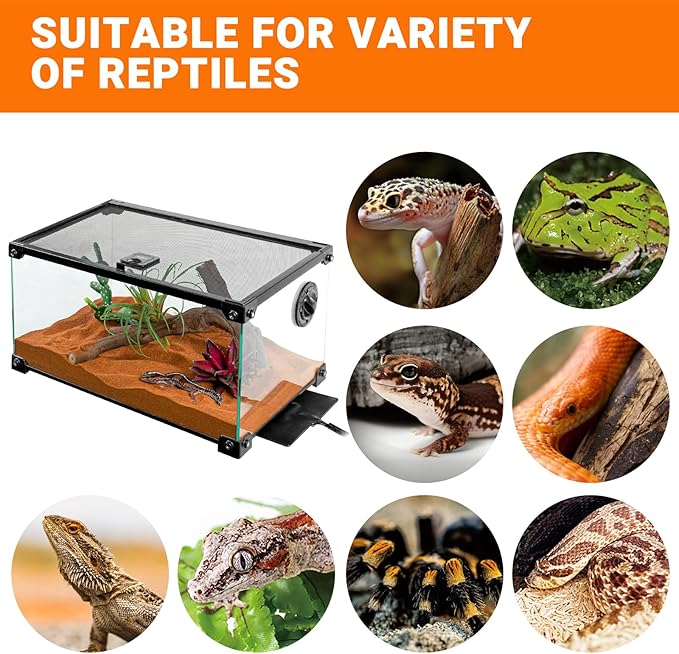 REPTI ZOO 6" X 8" Reptile Heat Pad Fast Heating Pad with Adjustable Thermostat 12W Reptile Heat Mat for Turtles/Hermit Crabs/Bearded Dragons/Leopard Geckos/Snakes/Lizards, and Seed Germination REPTIZOO