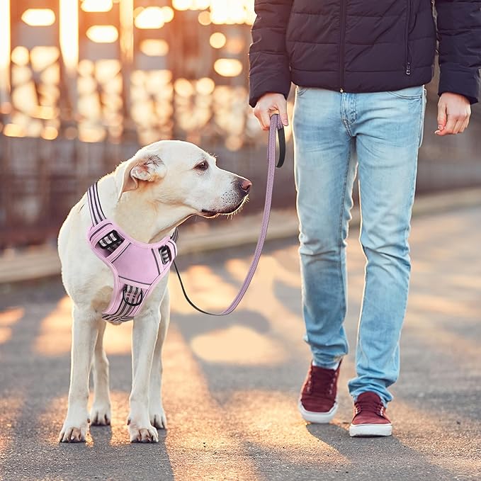 BUMBIN Dog Harness for Large Dogs, No Pull Adjustable No Choke Pet Vest with Dog Leash Fit Smart Reflective Pet Walking Harness for Training Easy Control Soft Handle Pink M BUMBIN