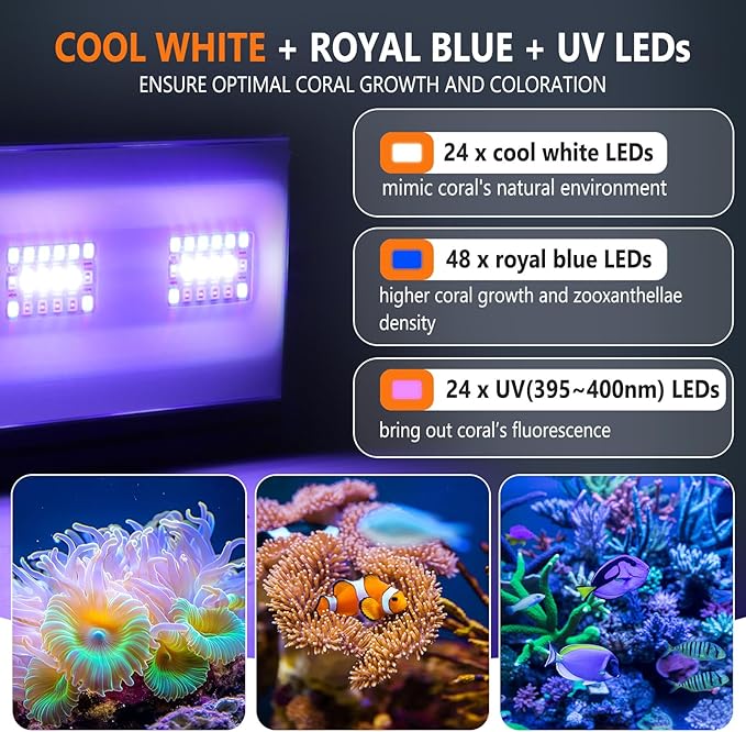 hygger 24/7 Mode Reef Aquarium Light White Blue U-V LEDs with 4 Channels Dimmer Timer Saltwater LED Light for LPS/Soft Coral/Fish Only Tank 12'' 30 Minutes Ramp Up & Down hygger